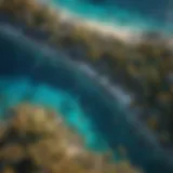 Aerial view of the Great Barrier Reef