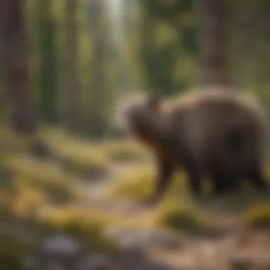 Wildlife Wonders of Colorado Diverse wildlife in Colorado