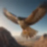 A falcon in mid-flight showcasing its remarkable wingspan and agility.
