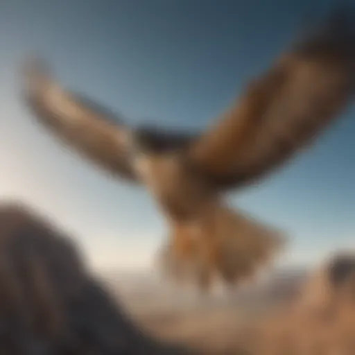 A falcon in mid-flight showcasing its remarkable wingspan and agility.