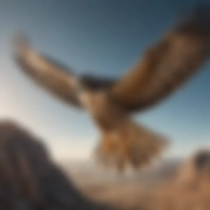 A falcon in mid-flight showcasing its remarkable wingspan and agility.