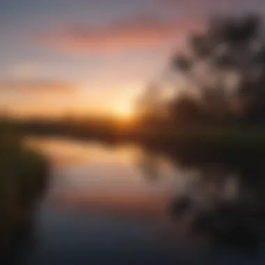 Sunset Over the Everglades Marshlands