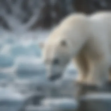 Polar bear stealthily approaching its prey on ice