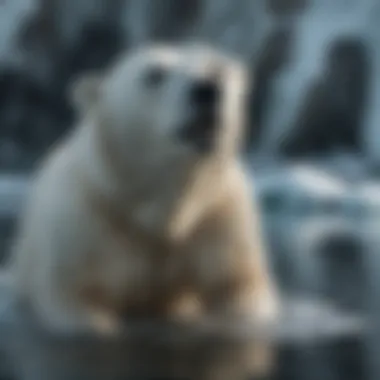 Polar bear swimming gracefully in icy waters