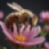 A close-up of a honey bee on a vibrant flower