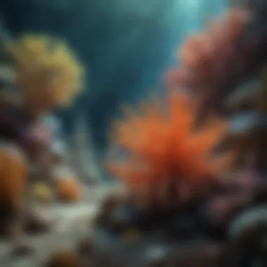 Colorful coral reefs filled with various marine life