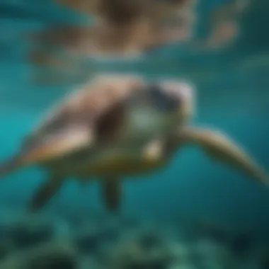 Majestic Green Sea Turtle Gliding gracefully through turquoise waters