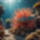 Illustration of a colorful coral reef ecosystem
