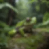 Vibrant Tree Frog Camouflaged in Lush Greenery