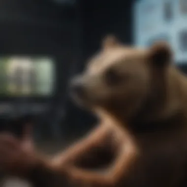 Educational session on bear conservation during the contest