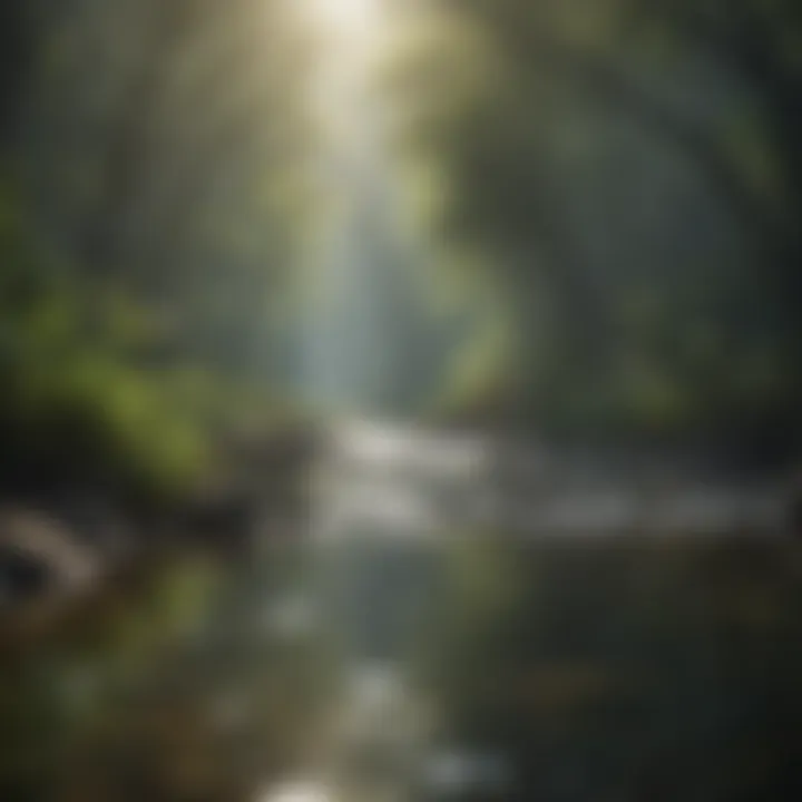 A pristine ecosystem showcasing the benefits of clean water