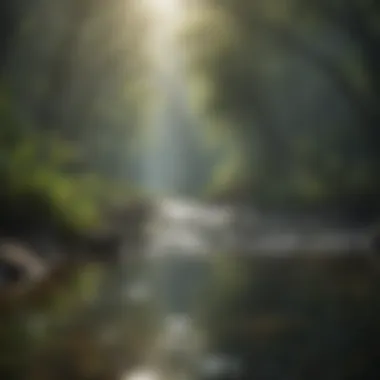 Healthy Ecosystem and Clean Water A pristine ecosystem showcasing the benefits of clean water