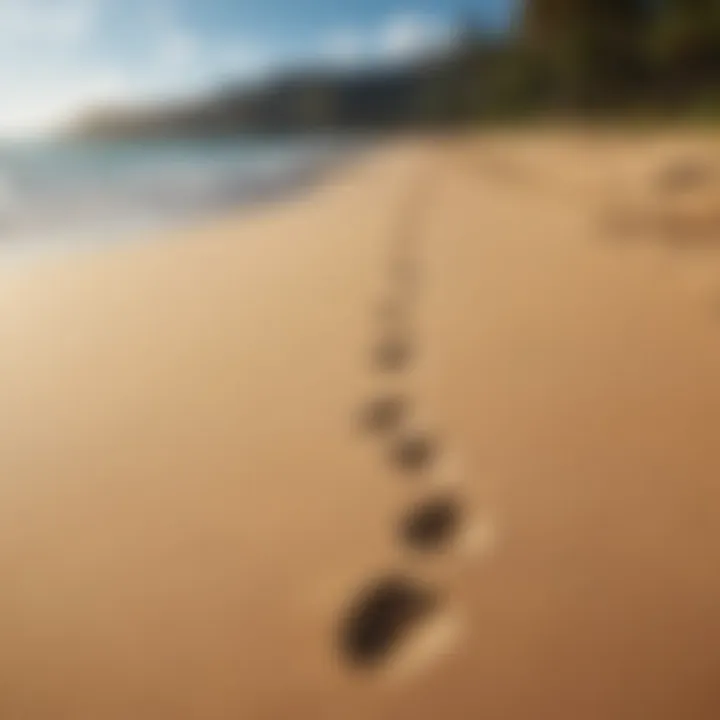 Footprints in the Sand