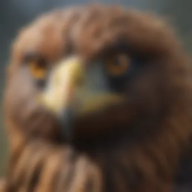 Golden Eagle Hunting