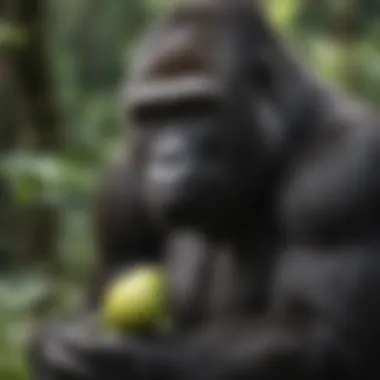 Gorilla Diet Analysis