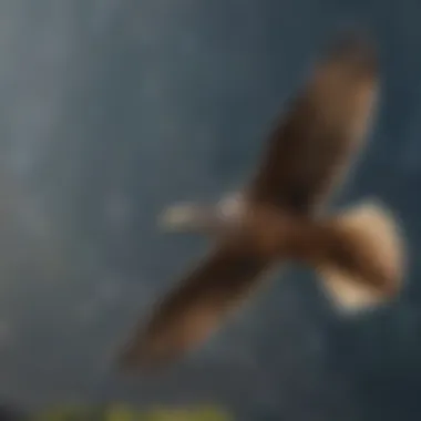 Graceful bird soaring in the sky