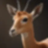 Graceful Gazelle Clipart