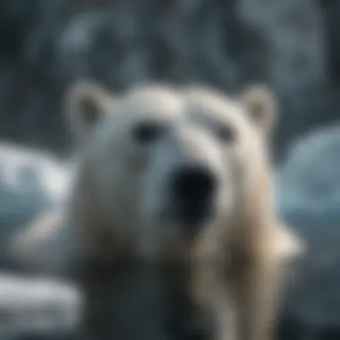 Polar bear swimming gracefully in icy waters
