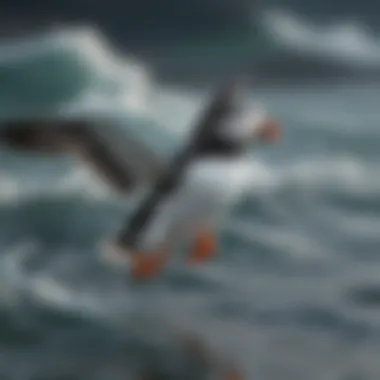Graceful puffin soaring above the ocean waves with elegance