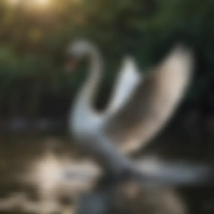 Graceful Swan Gliding on Water