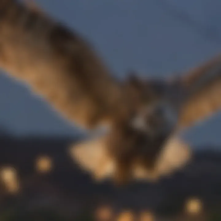 Great Horned Owl flying at dusk