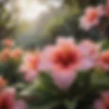Floral Splendor of Hawaii Vibrant Hawaiian Flowers