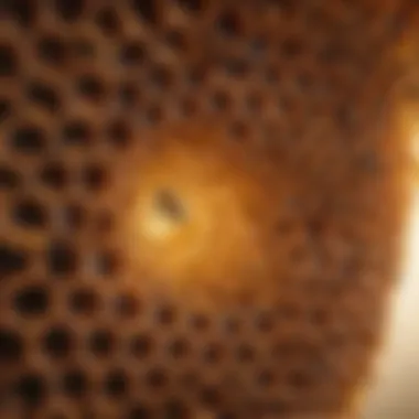 Architectural Wonders of the Hive Abstract representation of a honey bee's intricate hive structure
