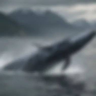 Majestic humpback whales breaching in the Alaskan ocean