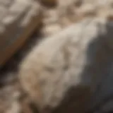 Close-up view of limestone rock texture