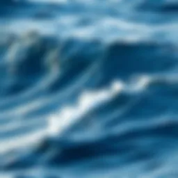Vast Ocean Waves