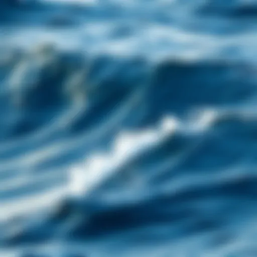 Vast Ocean Waves