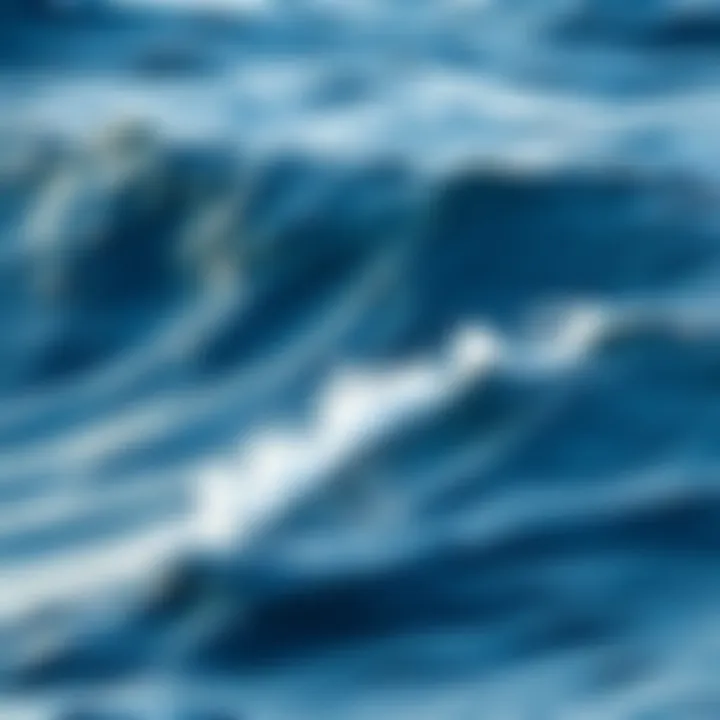 Vast Ocean Waves