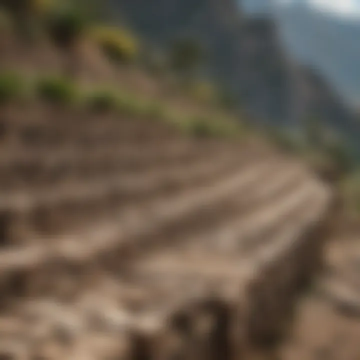 An ancient agricultural terrace demonstrating Incan innovation in farming.
