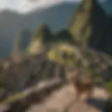 The majestic ruins of Machu Picchu, a testament to Incan architectural brilliance.