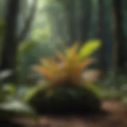 Magnificent rainforest showcasing diverse plant life