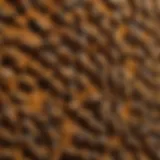 Illustration of intricate bee hive structure