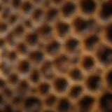 Intricate honeycomb structure