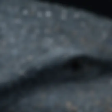 Close-up of intricate patterns on the skin of a whale shark