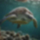 Majestic green sea turtle gliding through the ocean