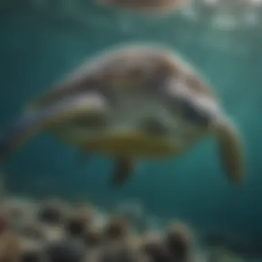 Majestic green sea turtle gliding through the ocean
