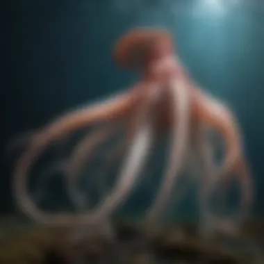 Intriguing giant squid showcasing elusive tentacles in the abyss