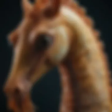 A close-up view of a sea horse showcasing its unique body structure.