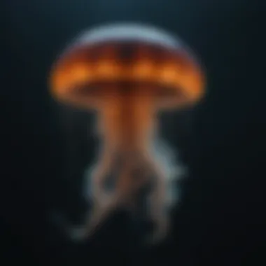 Mysteries of the Glowing Jellyfish A deep-sea jellyfish glowing in the dark waters