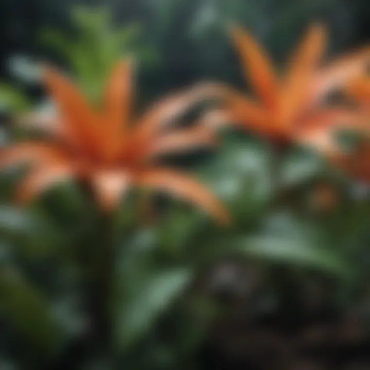 Floral Intricacies