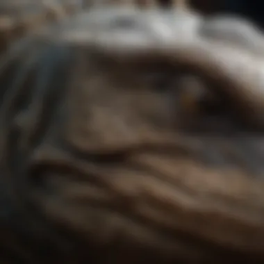 Close-up of Komodo dragon's textured skin