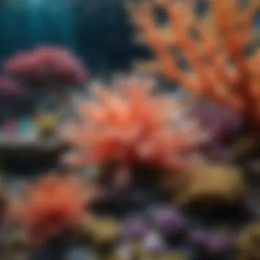 Vivid underwater coral reef with diverse marine life