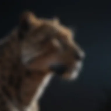 Silhouette of Leopard Blending into Night Sky
