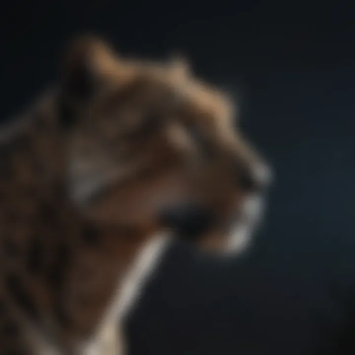 Silhouette of Leopard Blending into Night Sky