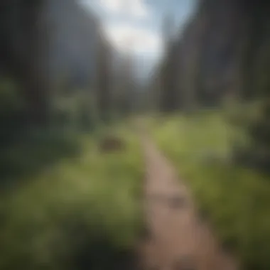 Exploring Montana's Hiking Trails A scenic hiking trail winding through Montana's wilderness