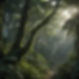 Lush Canopy Covering the Amazon Rainforest